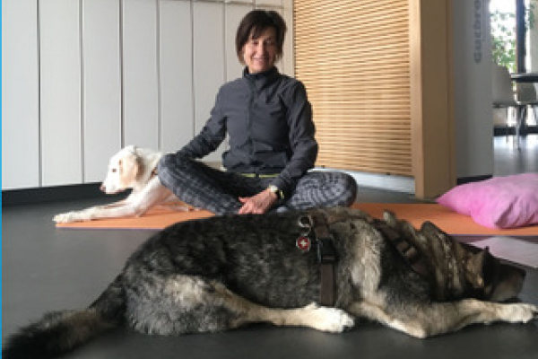 Yoga mit Hund - Erlebe gemeinsam mit Deinem Hund eine Auszeit!  
