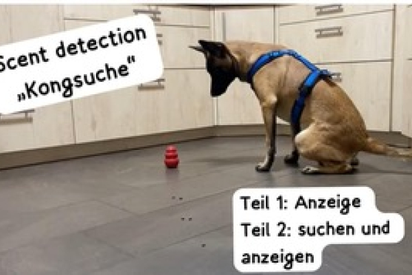  Reeney Weeny Kong - Suche 